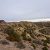 -cheap-san-juan-county-nm-lot-for-sale-
