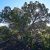 very-cheap-seller-financed-land-in-apache-az