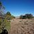 st-johns-az-cheap-land-sale