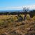 cheap-st-johns-az-land