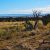 northern-arizona-35-acre-camping-lot-woodland-valley-ranch-lot-315