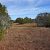 show-low-az-land-for-sale-