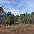 cheap-property-for-sale-in-show-low-az