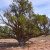 low-down-seller-financing-apache-county-lot