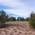 apache-county-seller-financed-land-