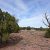 concho-az-land-for-sale-