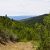 land-for-sale-in-trinidad-co