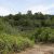 trinidad-co-seller-financed-land-