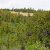 colorado-cheap-land-