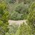 co-seller-financed-land
