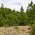 cheap-las-animas-co-property