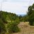 -las-animas-county-seller-financed-land