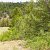 trinidad-co-land-for-sale