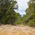 cheap-trinidad-co-property-for-sale