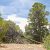 cheap-land-for-sale-in-trinidad-co