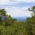 cheap-land-in-trinidad-co-
