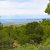 trinidad-co-seller-financed-land-
