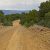 las-animas-co-property