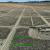 low-down-seller-financing-costilla-county-lot
