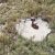cheap-for-sale-land-in-hasty-co