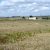 very-cheap-seller-financed-land-in-hasty-co