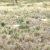 land-sale-in-hasty-co