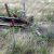 cheap-seller-financed-land-in-hasty-co