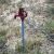seller-financed-land-in-hasty-co