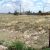 -cheap-for-sale-land-in-hasty-co