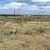 hasty-co-cheap-land-sale