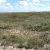 cheap-for-sale-land-in-hasty-co
