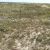 cheap-for-sale-land-in-hasty-co