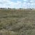 cheap-seller-financed-land-