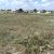 cheap-land-sale
