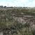 cheap-land-sale