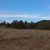 iron-mountain-wilderness-co-land-for-sale-