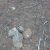 cheap-cotopaxi-co-property-for-sale