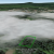 nanawale-estates-hi-land-for-sale-near-akaka-falls-state-park