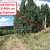 cheap-for-sale-land-in-cripple-creek-co