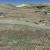 cheap-teller-county-co-land