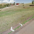 cripple-creek-co-cheap-land-sale-near-mueller-state-park