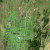 cheap-seller-financed-land-in-cripple-creek-co