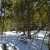 cheap-property-for-sale-in-idaho-springs-co