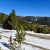 low-down-seller-financing-clear-creek-county-lot