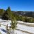 seller-financed-land-in-clear-creek-county-