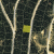 cheap-clear-creek-county-lot-for-sale-