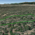 cheap-land-for-sale-