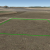 cheap-costilla-co-property