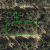 cheap-seller-financed-land-in-divide-co