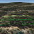 cheap-teller-county-co-land